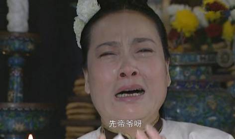 雍正历史图片