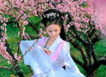 桃花夫人历史图片