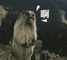 明朝历史图片