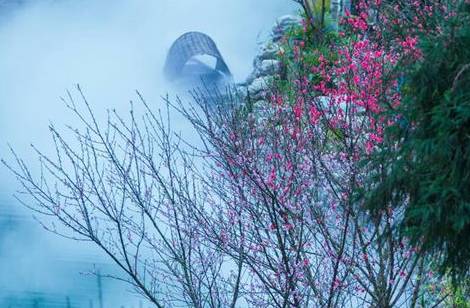 桃花源记历史图片