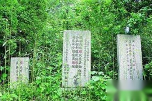 顾雍历史图片