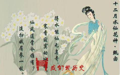 芈月历史图片