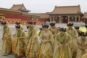 宫女弑君历史图片