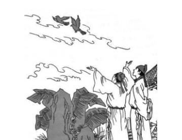 鸽子历史图片