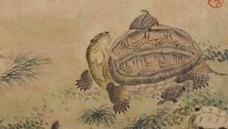 曹操历史图片