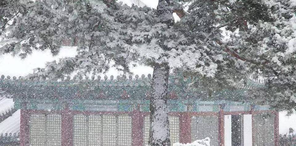 孔孟不背锅历史图片