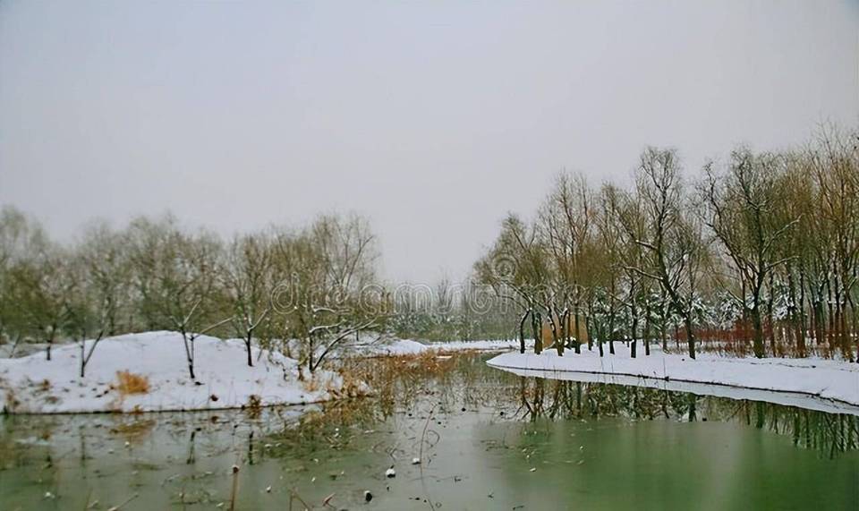 李渊历史图片