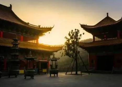 杜充历史图片