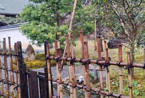 张岱历史图片