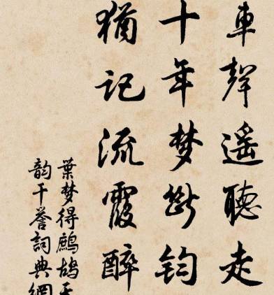 鹧鸪天历史图片