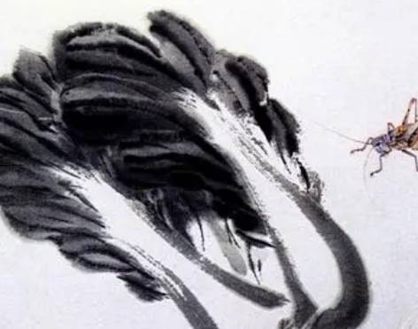 齐白石历史图片