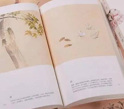 诗经历史图片