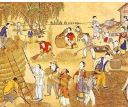 古代亩产几百斤粮食历史图片