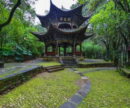 蝴蝶会历史图片