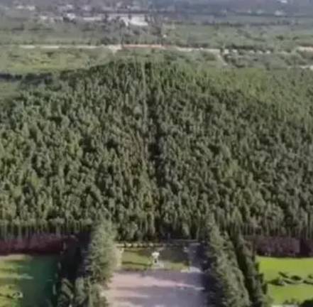 秦始皇历史图片