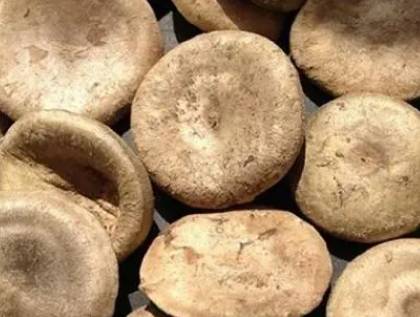 古代历史图片