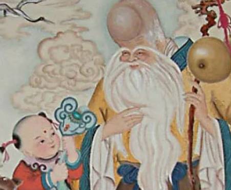 南极仙翁历史图片