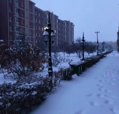 大雪历史图片