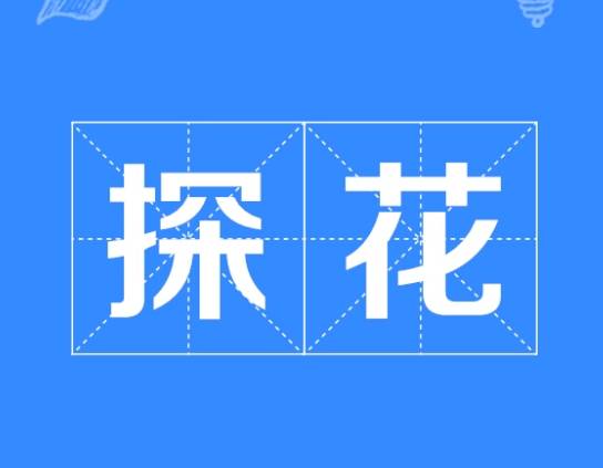 探花历史图片