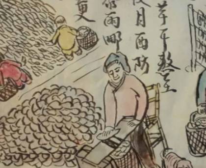 红薯历史图片