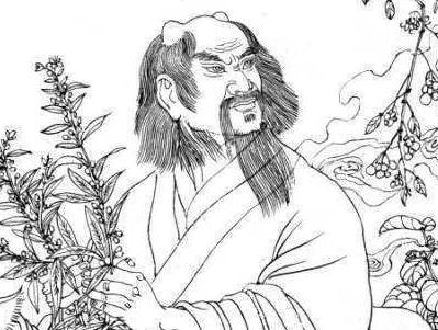 草药历史图片