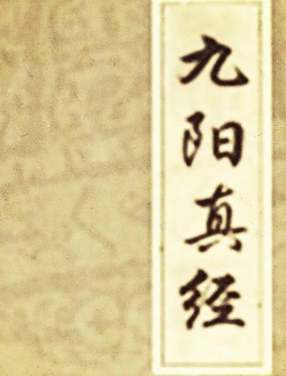九阴真经历史图片