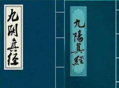 九阴真经历史图片