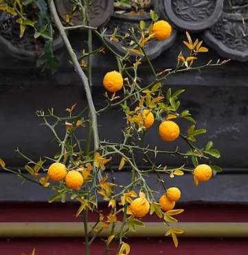 追寻古诗印记历史图片