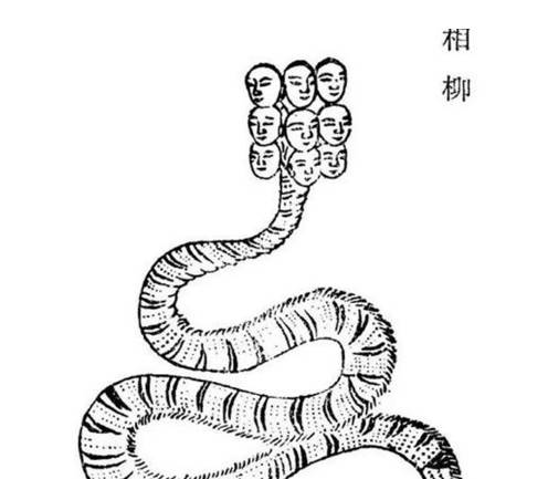 相柳历史图片