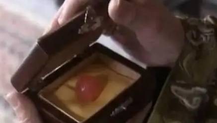 红丸案历史图片