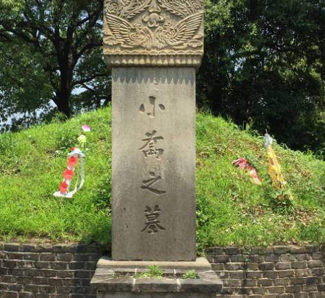 岳阳历史图片