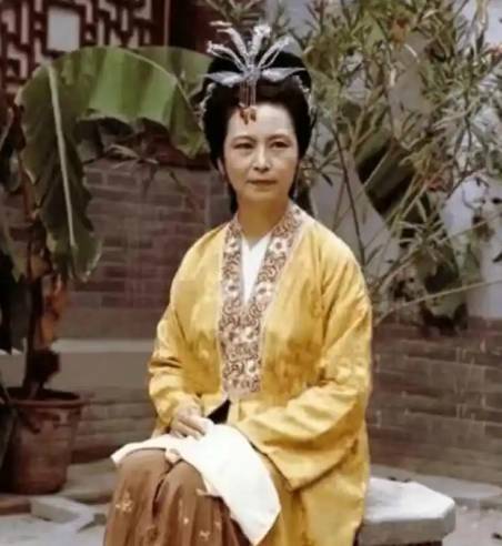 王夫人历史图片