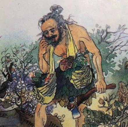 神农历史图片