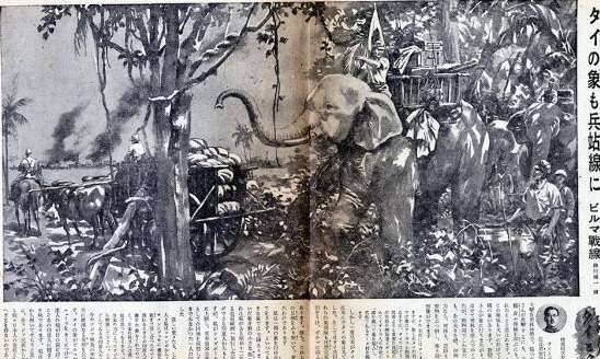 泰法战争历史图片